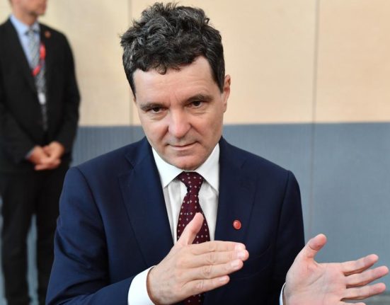 Nicusor Dan vrea sa obtina al doilea mandat