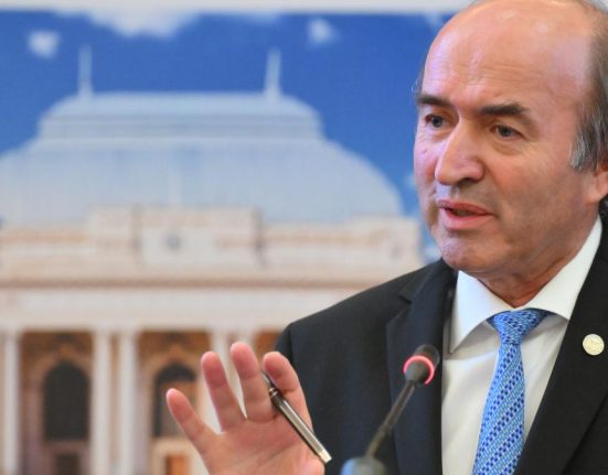 Tudorel Toader explica optiunile Guvernului dupa CCR