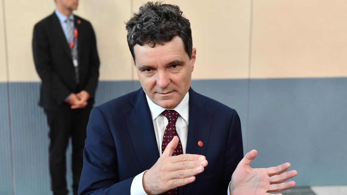 Ce functie i a propus Emil Constantinescu lui Nicusor Dan