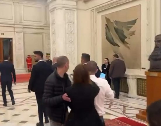 Guvernul a format o comisie pentru a cerceta incidentul cu jurnalistii
