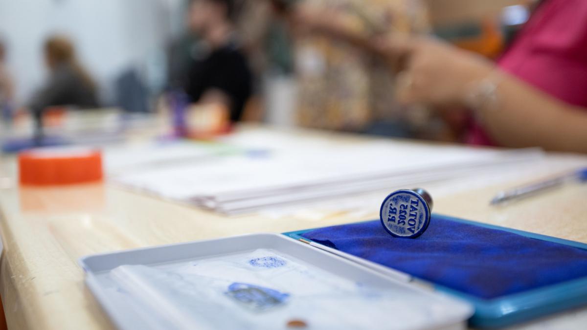 MAI campanie de informare inainte de alegeri Nu fotografia buletinul de vot Este ilegal