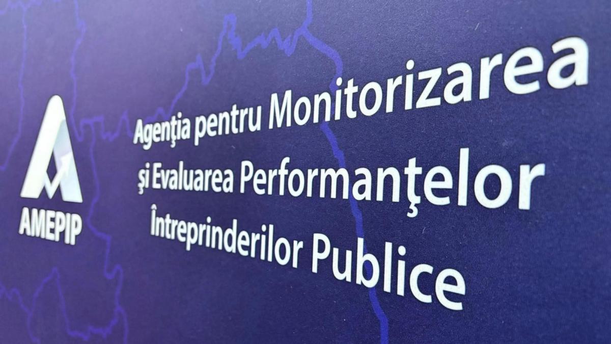 Mega agenia AMEPIP are o noua conducere Cine este Anisoara Uceluse