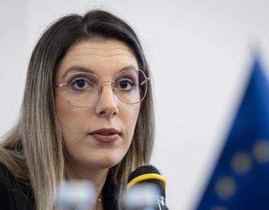 Ministra Mediului anunta succes la UE pentru evitarea cresterilor de preturi