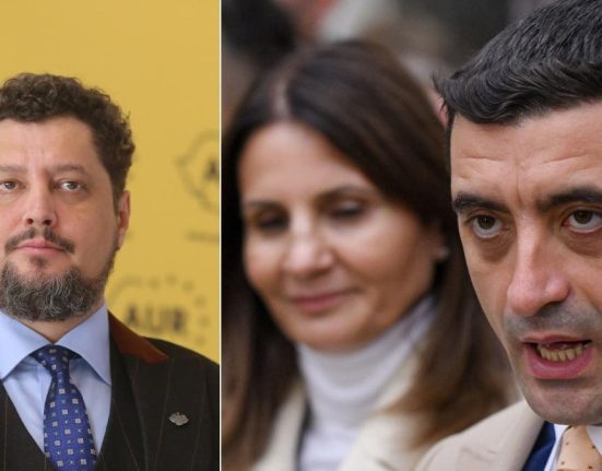 Fondatorul AUR Anca Alexandrescu ar putea sa pretinda partidul lui Simion
