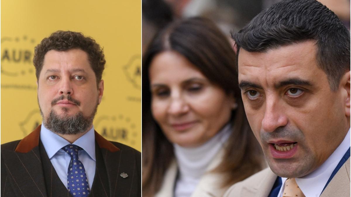Fondatorul AUR Anca Alexandrescu ar putea sa pretinda partidul lui Simion