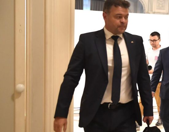 Ilie Bolojan i a propus lui Marilen Pirtea functia de ministru al Educatiei