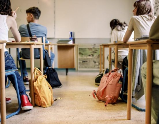 Ministerul Educatiei introduce doua optionale noi pentru gimnaziu