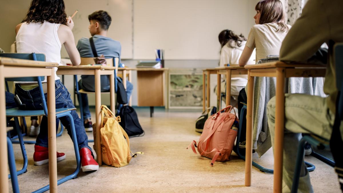 Ministerul Educatiei introduce doua optionale noi pentru gimnaziu