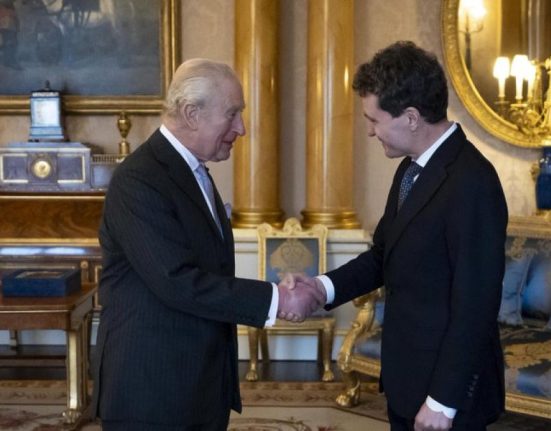 Nicusor Dan a fost primit de Regele Charles III