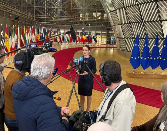 Oana Toiu a cerut avansarea negocierilor pentru Moldova si Ucraina