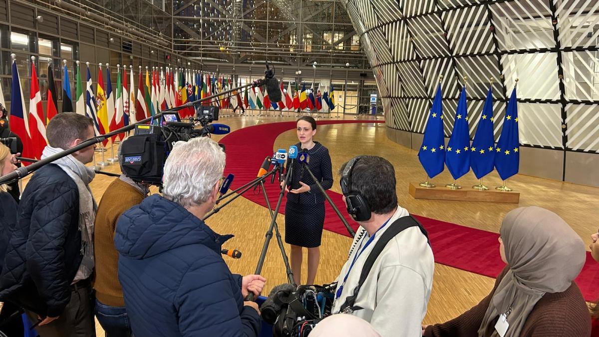 Oana Toiu a cerut avansarea negocierilor pentru Moldova si Ucraina