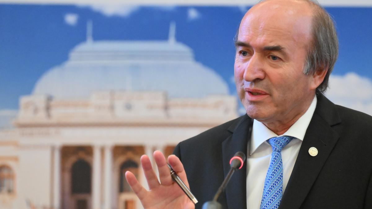 Tudorel Toader Presedintele n a incalcat separarea puterilor