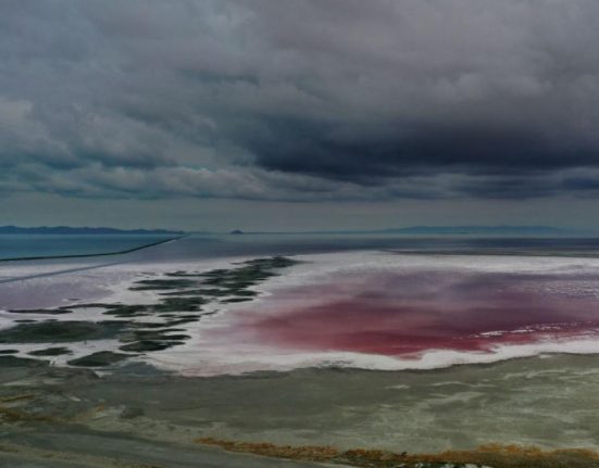 Un animal misterios a fost descoperit in Marele Lac Sarat