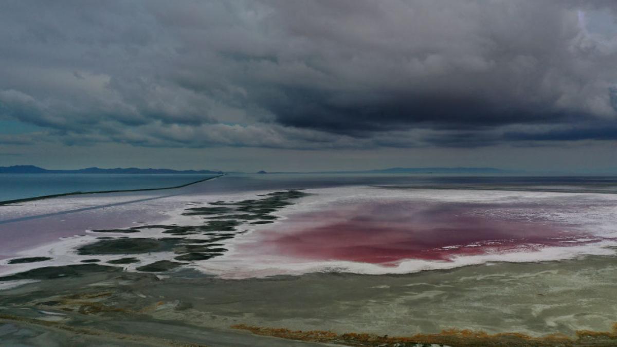 Un animal misterios a fost descoperit in Marele Lac Sarat