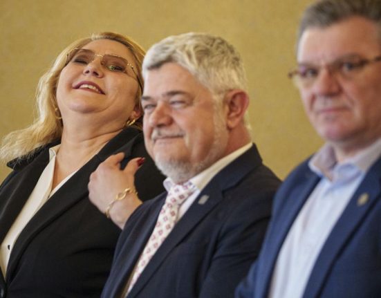 cazul ninel peia si suspendarea lui nicusor dan cine e senatorul cu gauri in cv