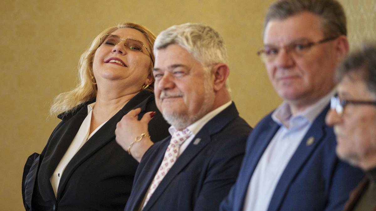 cazul ninel peia si suspendarea lui nicusor dan cine e senatorul cu gauri in cv