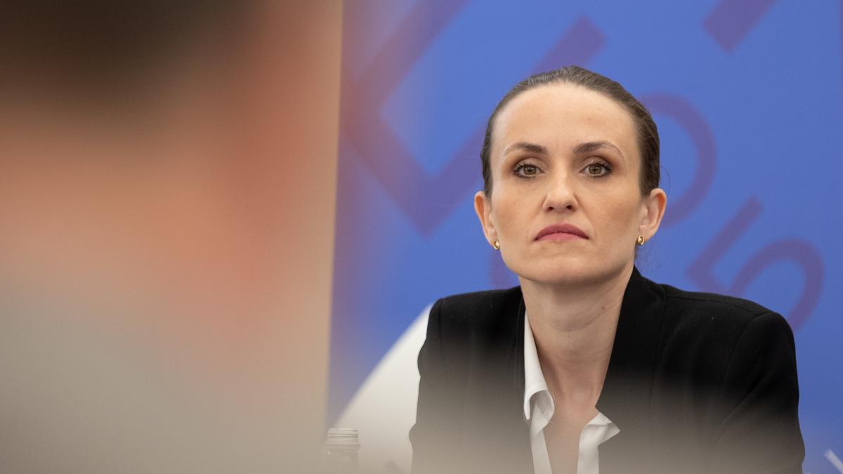 Mesajul Oanei Toiu dupa preluarea presedintiei UE de Cipru