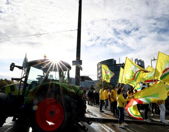 Ministrul Agriculturii cere garantii suplementare UE Mercosur