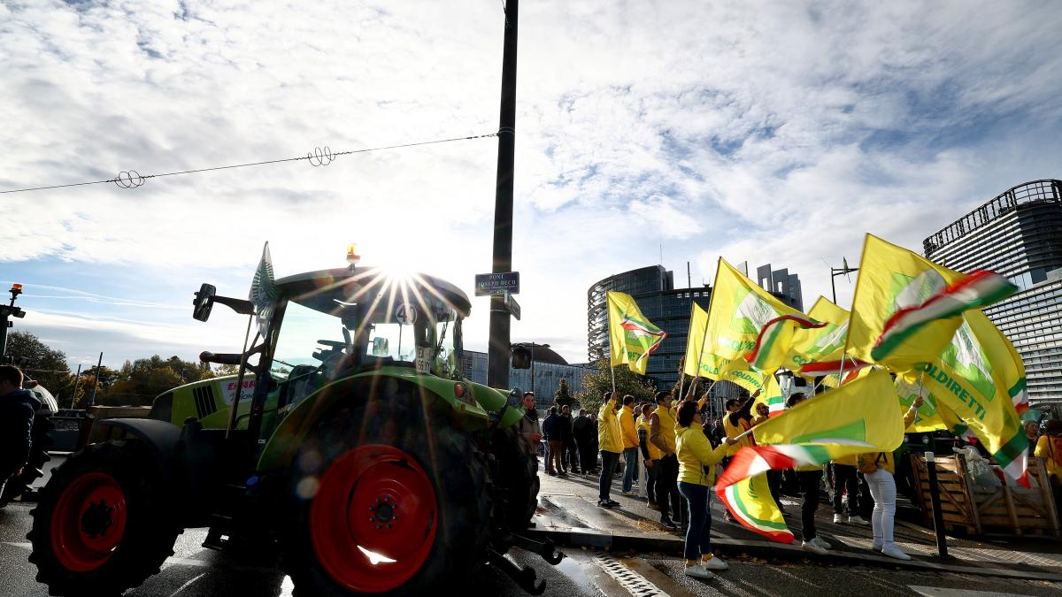 Ministrul Agriculturii cere garanții suplimentare UE-Mercosur 1 Ministrul Agriculturii cere garantii suplementare UE Mercosur