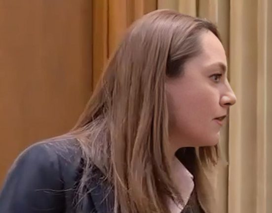 Anamaria Gavrila a avut o criza de nervi in plen A strigat la o colega deputat Stai in banca