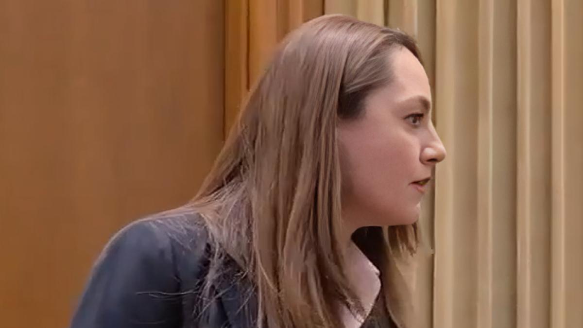Anamaria Gavrila a avut o criza de nervi in plen A strigat la o colega deputat Stai in banca