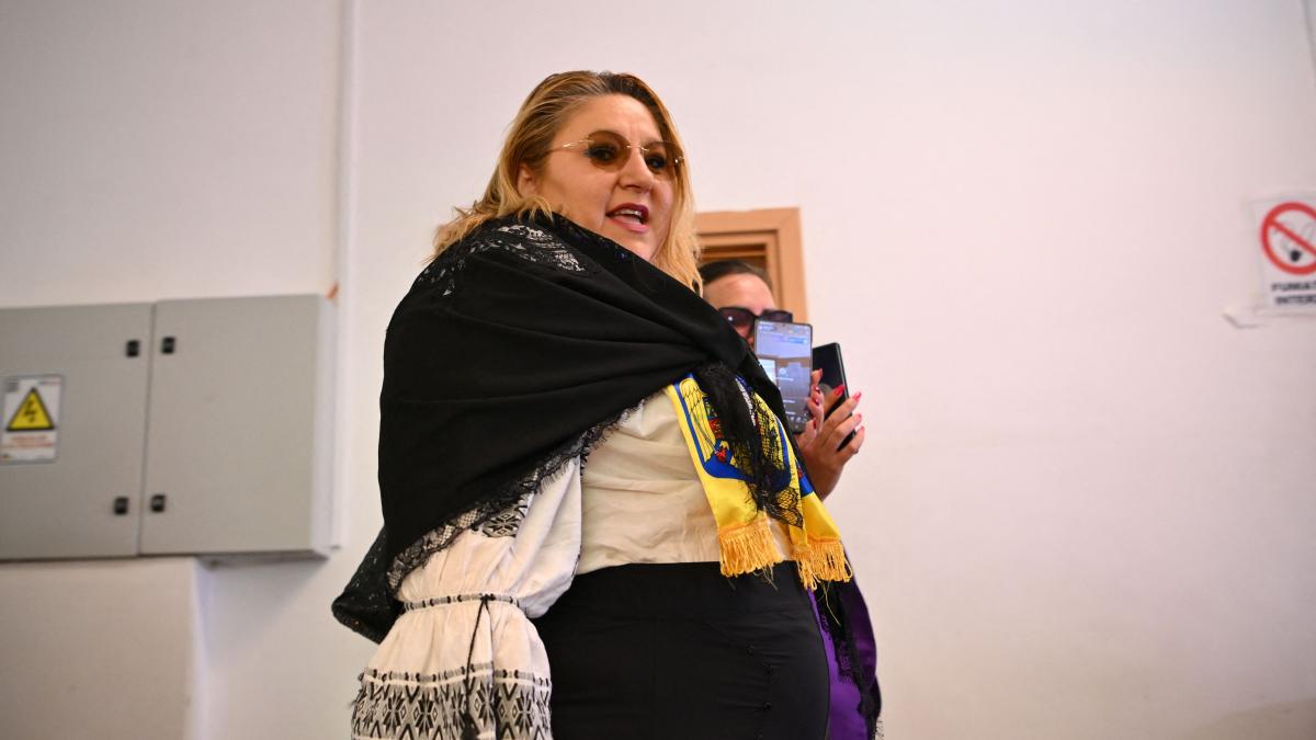 Diana SosOaca afirma ca 5 tari i au propus azil politic Pe mine nu ma indeparteaza
