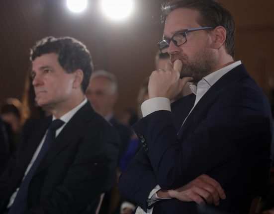 Dominic Fritz a dezvaluit ca discuta cu Nicusor Dan o data pe saptamana intr o sala