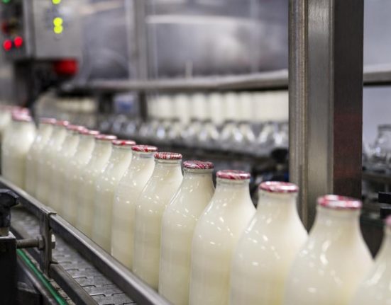 Laptele romanesc dispare de pe piata fermierii vand cu pierderi iar importurile strang in surub productia