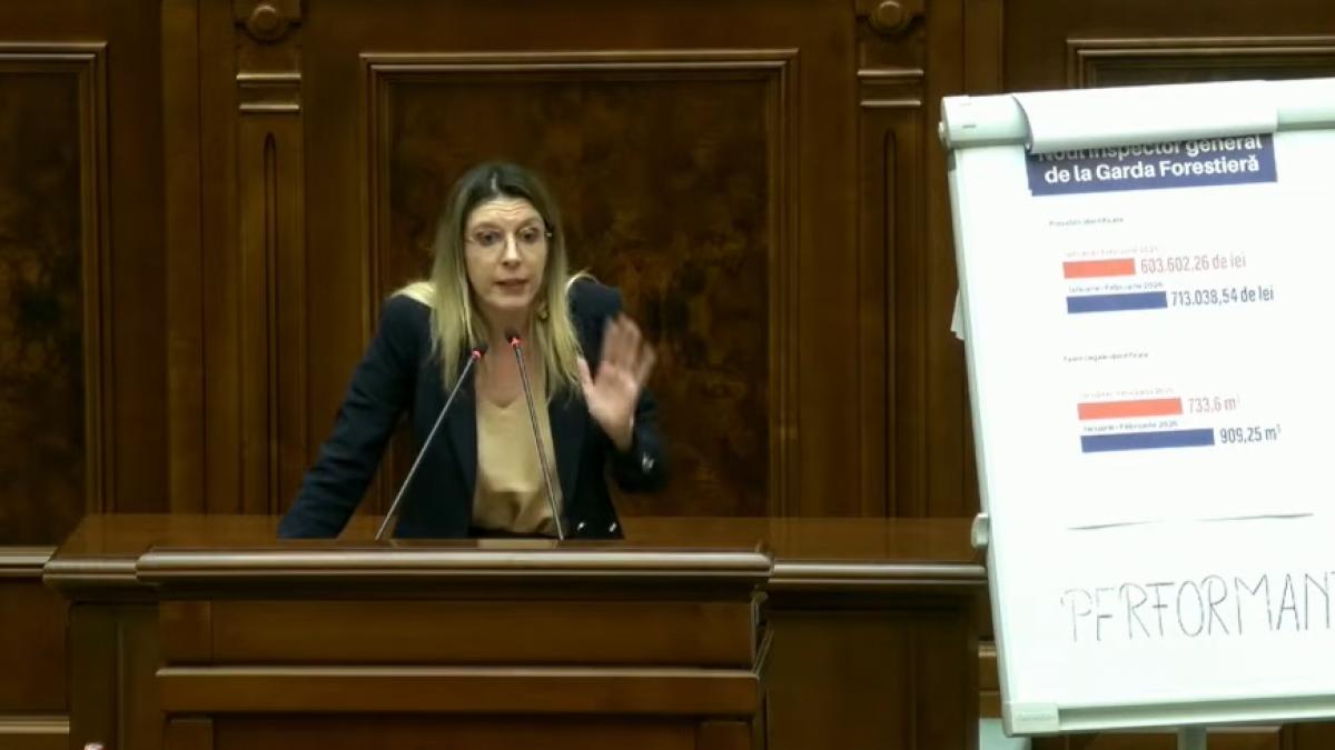 Motunea simpla impotriva Dianei Buzoianu a fost respinse PSD nu a votat Bolojan a absentat Schimb dur de