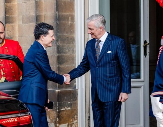 Nicuser Dan a avut o intalnire la Bruxelles cu Regele Belgiei Ce au discutat acestia