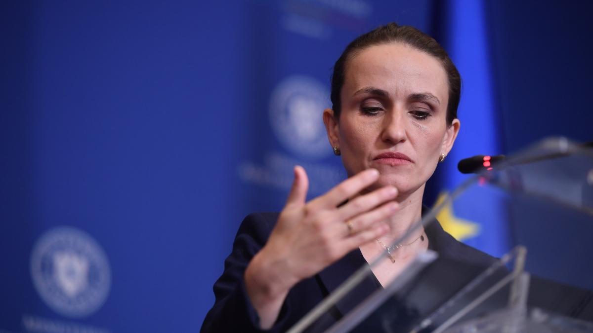 Oana Toiu despre cazul Irina Ponta O eroare regretabila a existat o comunicare paralela in raport cu