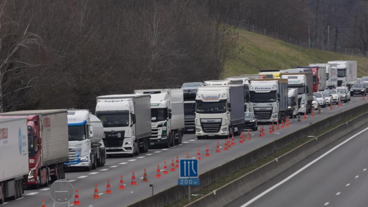 Surse Schema de ajutor de stat pentru transportatori ar putea fi extinsa Propunerea a fost aprobata
