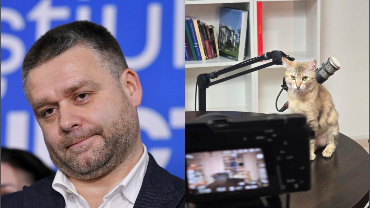ciucu anunta lansarea unui podcast nu ma mai distrez trei secunde pe tiktok sa incurajez ura