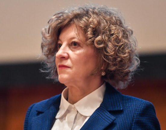 Ce e mail a trimis Oana Gheorghiu parlamentarilor care au semnat motiunea de cenzura joi seara