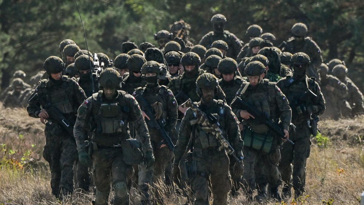 Nicușor Dan: Retragerea a 5.000 de soldați americani din Germania nu este o surpriză. Europa poate... 1 Nicuor Dan Retragerea a 5000 de soldati americani din Germania nu este o surpriza Europa poate