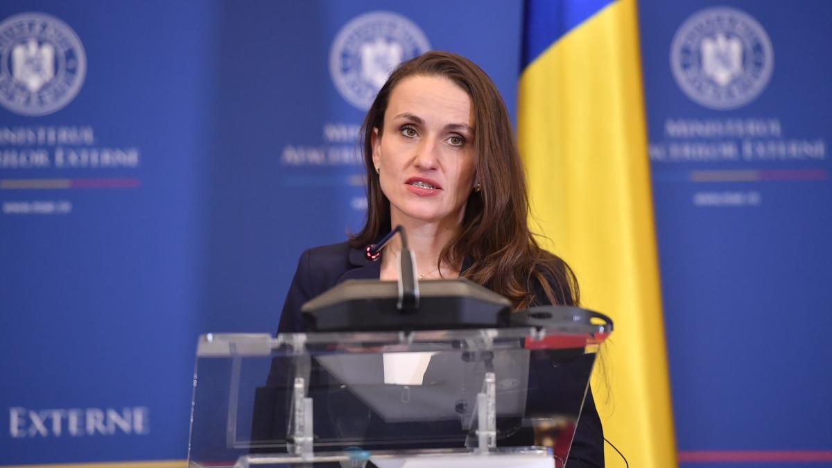 Oana Toiu Imobilele detinu te de MAE au fost evaluate la aproape 4 miliarde de lei