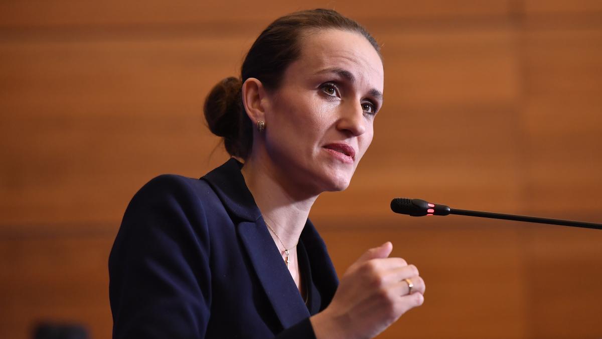 Toiu a rechemat conducerile consulatelor de la Bonn si Hamburg Nu e acceptabil ca neglijenta sa continue