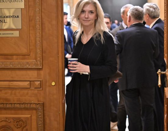 PNL sustine ca dosarul prin care se solicita anularea Congresului a fost atrituit unui foste colaboratoare