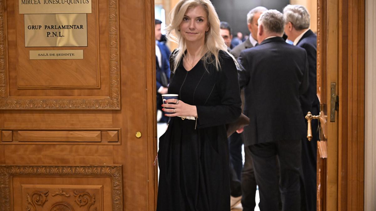 PNL sustine ca dosarul prin care se solicita anularea Congresului a fost atrituit unui foste colaboratoare
