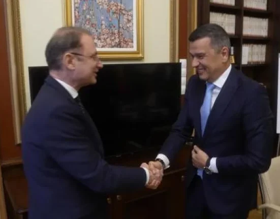PNL va vota Guvernul Luca Niculescu și va fi în opoziție
