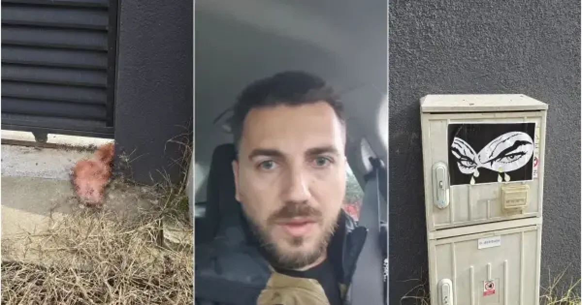 PSD îi cere lui Nazare să explice deficitul cash: „Gaura ar fi de 37 de miliarde de lei”